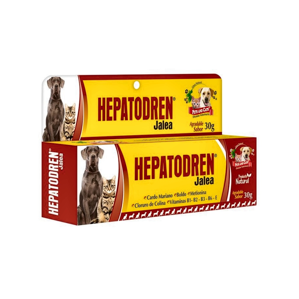 P &amp; C HEPATODREN JALEA TUBO x 30gr UNIDAD