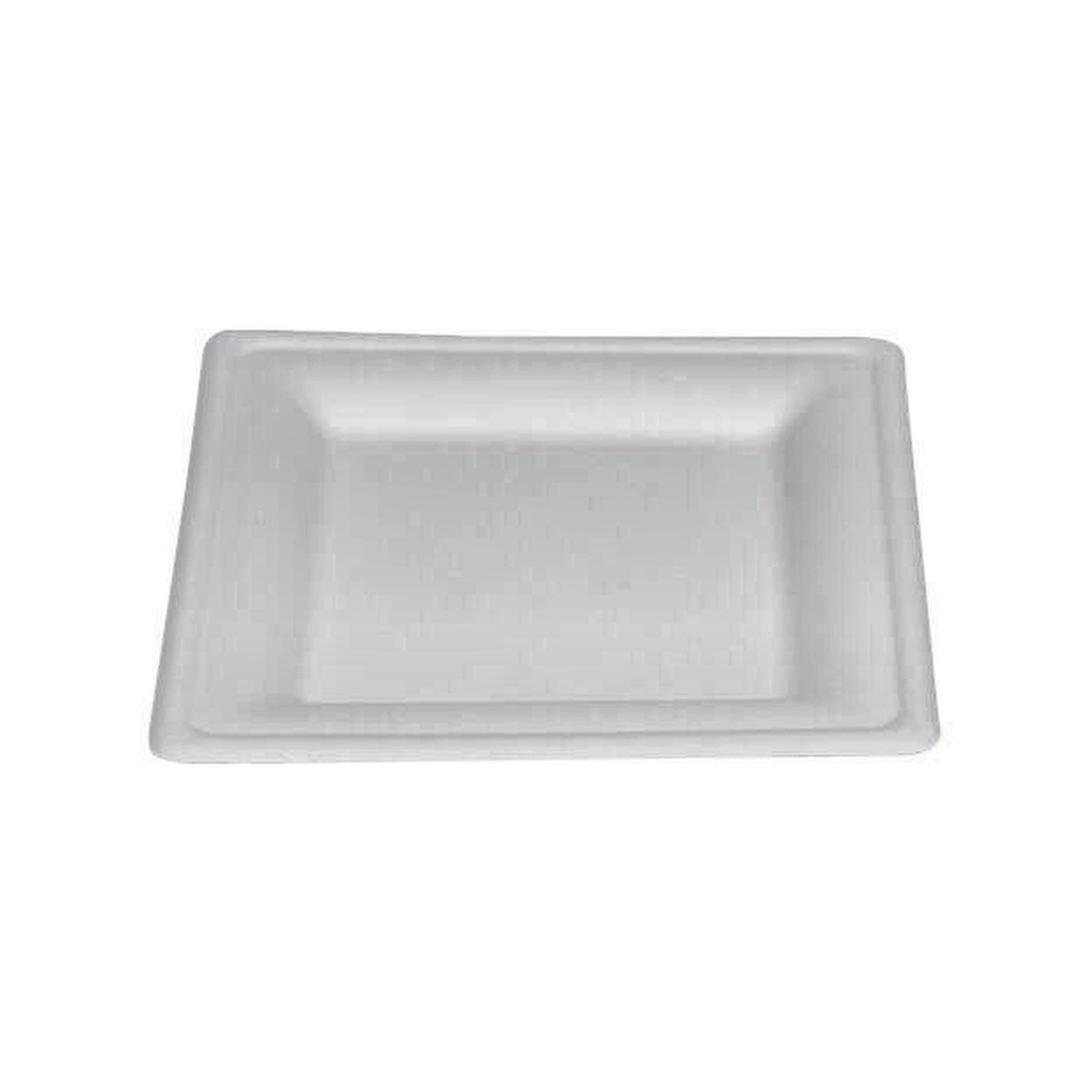 PLATO CUADRADO 20CM 590420028 CJ x 500 UND