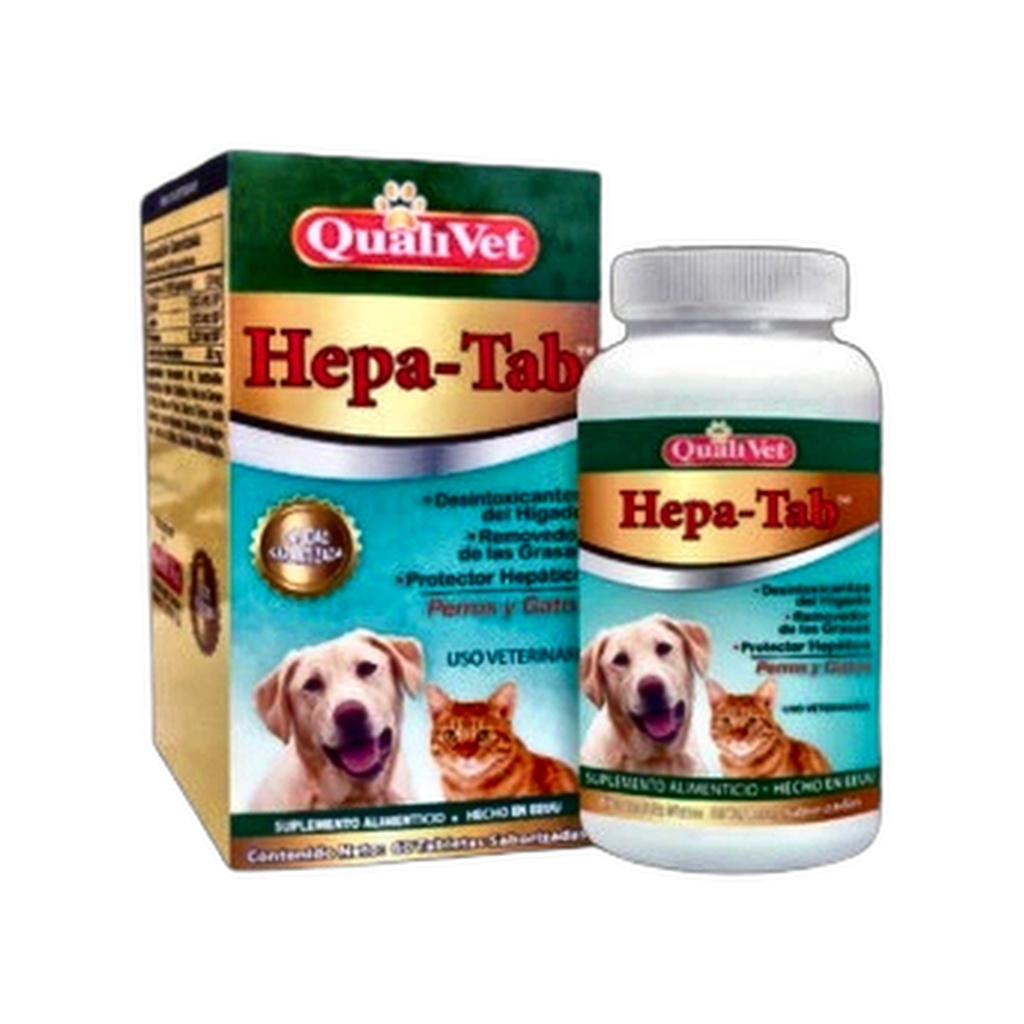 HEPATAB X 60 TAB