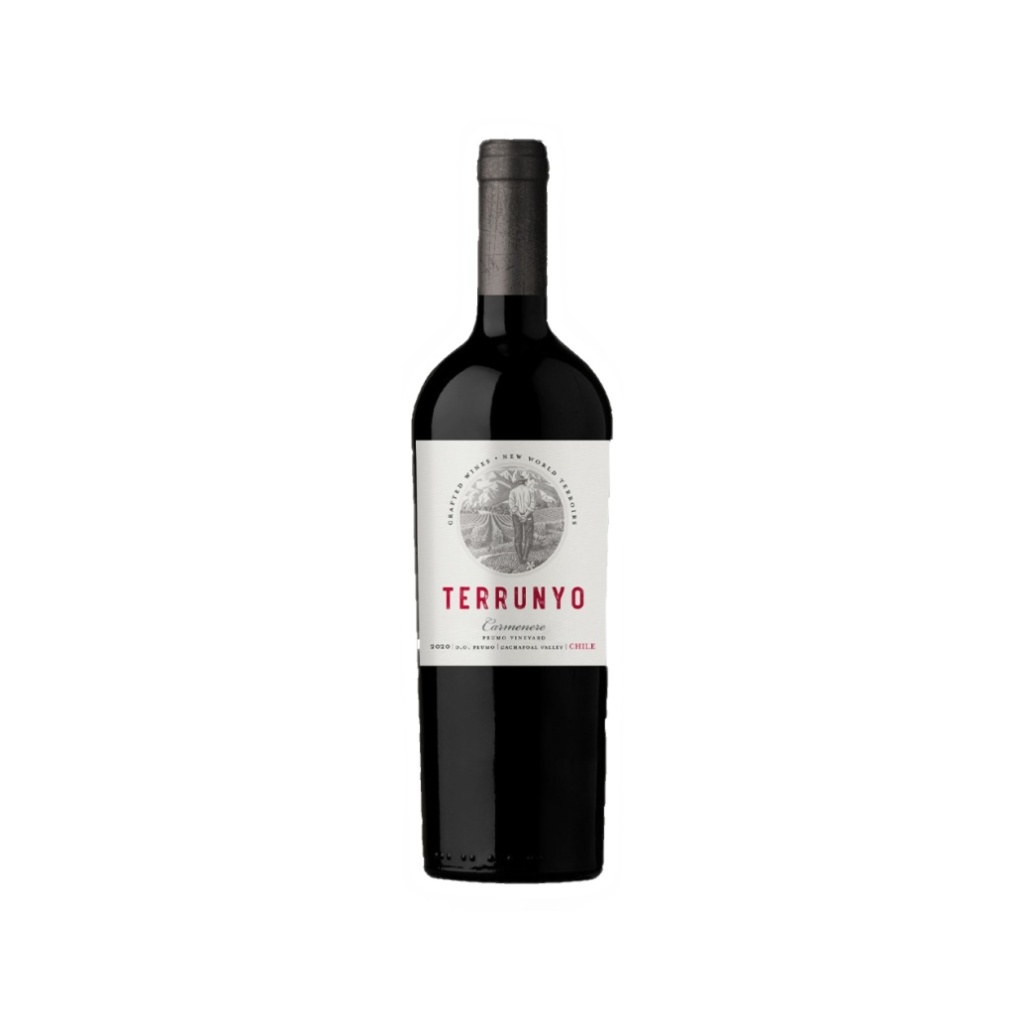 VINO TERRUNYO CARMENERE x 750 cc