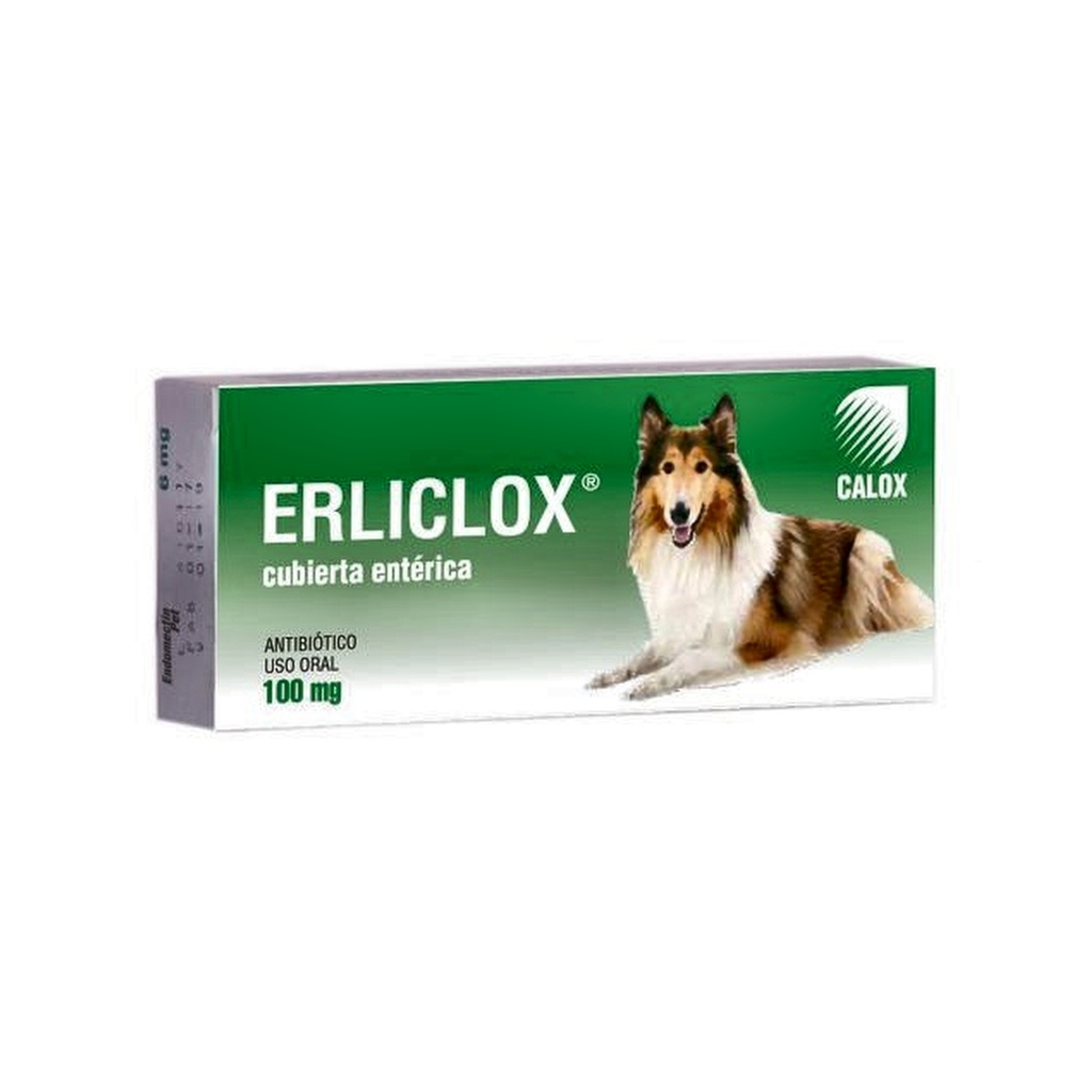 ERLICLOX CALOX 100 MG  BLISTER X 10 TABLETAS