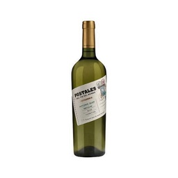 [1620102] VINO DFM POSTALES SAUVIGNON BLANC SEMILLO